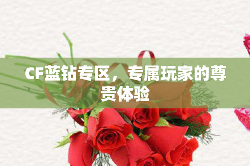 CF蓝钻专区,专属玩家的尊贵体验 CF蓝钻专区,专属玩家的尊贵体验