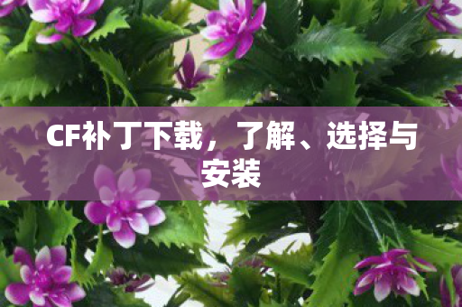 CF补丁下载,了解、选择与安装 CF补丁下载,了解、选择与安装