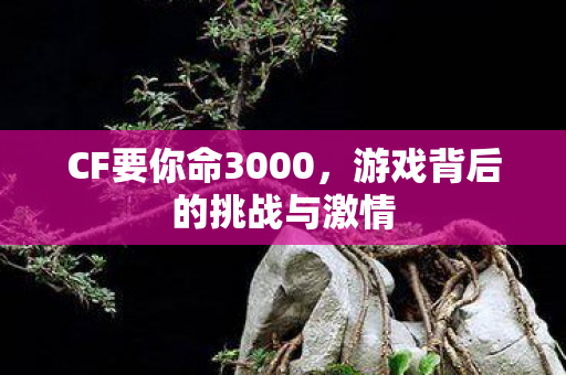 CF要你命3000,游戏背后的挑战与激情 CF要你命3000,游戏背后的挑战与激情