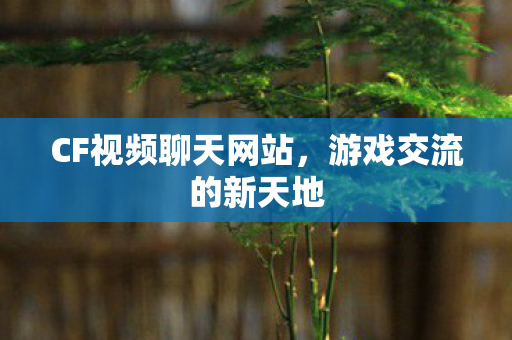 CF视频聊天网站,游戏交流的新天地 CF视频聊天网站,游戏交流的新天地