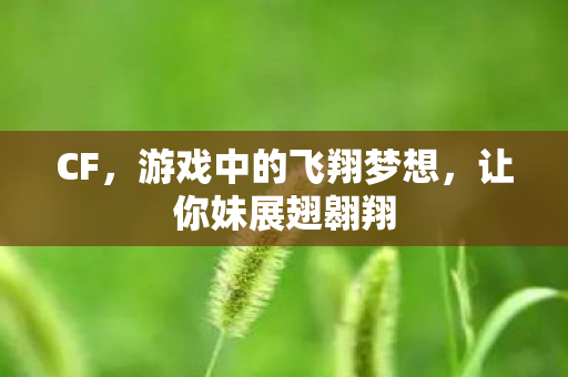 CF,游戏中的飞翔梦想,让你妹展翅翱翔 CF,游戏中的飞翔梦想,让你妹展翅翱翔