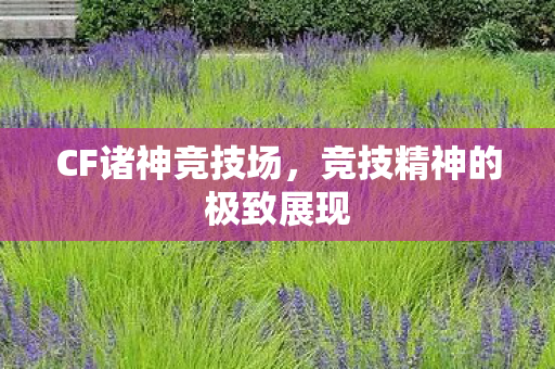CF诸神竞技场,竞技精神的极致展现 CF诸神竞技场,竞技精神的极致展现