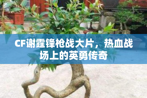 CF谢霆锋枪战大片,热血战场上的英勇传奇 CF谢霆锋枪战大片,热血战场上的英勇传奇