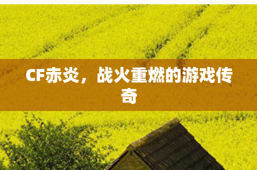 CF赤炎,战火重燃的游戏传奇 CF赤炎,战火重燃的游戏传奇