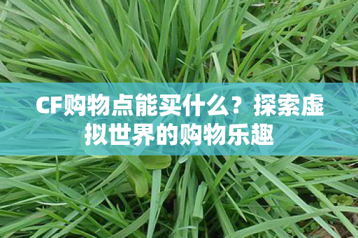 CF购物点能买什么?探索虚拟世界的购物乐趣 CF购物点能买什么?探索虚拟世界的购物乐趣