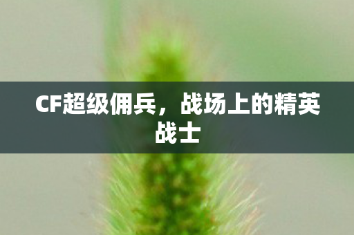CF超级佣兵,战场上的精英战士 CF超级佣兵,战场上的精英战士