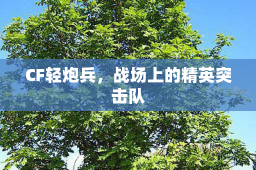 CF轻炮兵,战场上的精英突击队 CF轻炮兵,战场上的精英突击队