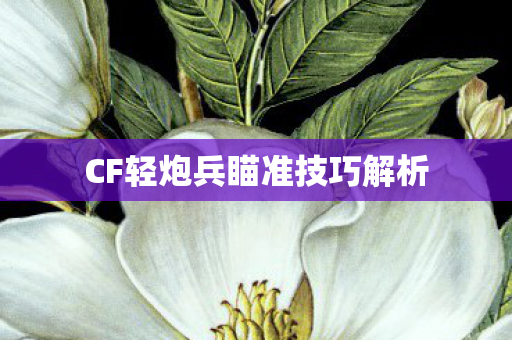 CF轻炮兵瞄准技巧解析 CF轻炮兵瞄准技巧解析