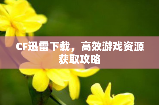 CF迅雷下载,高效游戏资源获取攻略 CF迅雷下载,高效游戏资源获取攻略
