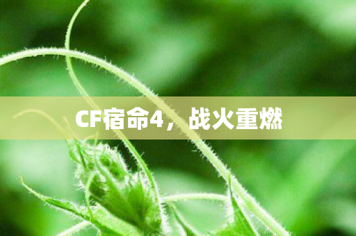 CF宿命4,战火重燃 CF宿命4,战火重燃