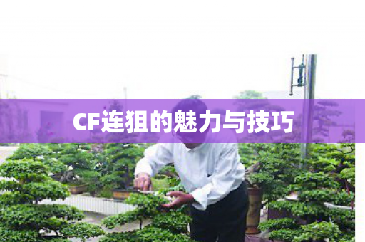 CF连狙的魅力与技巧 CF连狙的魅力与技巧