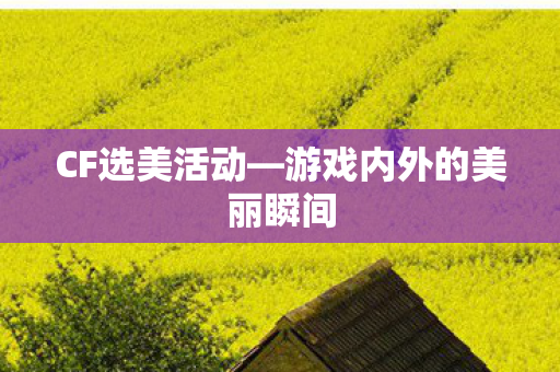 CF选美活动—游戏内外的美丽瞬间 CF选美活动—游戏内外的美丽瞬间
