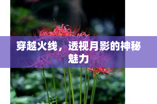穿越火线,透视月影的神秘魅力 穿越火线,透视月影的神秘魅力