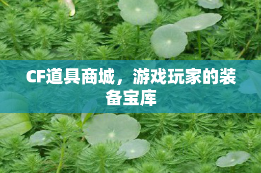 CF道具商城,游戏玩家的装备宝库 CF道具商城,游戏玩家的装备宝库