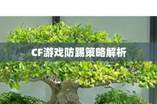 CF游戏防踢策略解析 CF游戏防踢策略解析