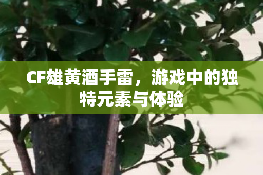 CF雄黄酒手雷，游戏中的独特元素与体验