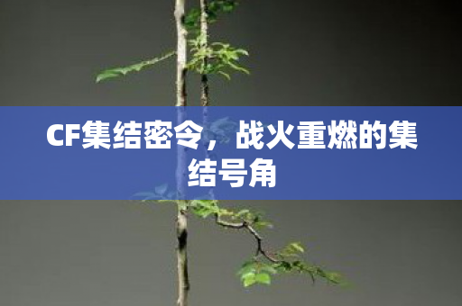 CF集结密令,战火重燃的集结号角 CF集结密令,战火重燃的集结号角