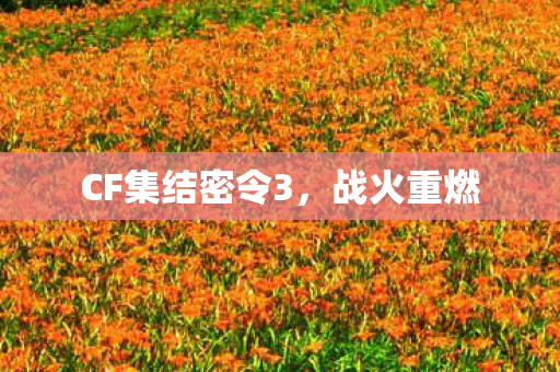 CF集结密令3,战火重燃 CF集结密令3,战火重燃
