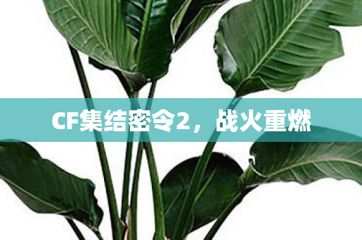 CF集结密令2,战火重燃 CF集结密令2,战火重燃