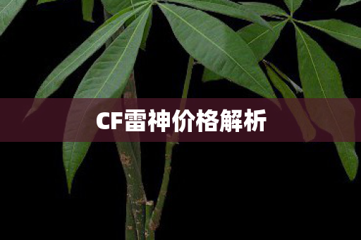 CF雷神价格解析