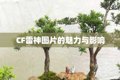 CF雷神图片的魅力与影响 CF雷神图片的魅力与影响
