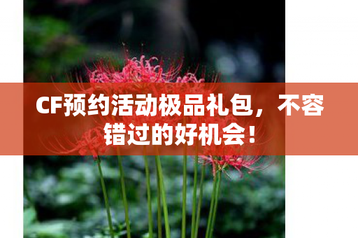 CF预约活动极品礼包,不容错过的好机会! CF预约活动极品礼包,不容错过的好机会!