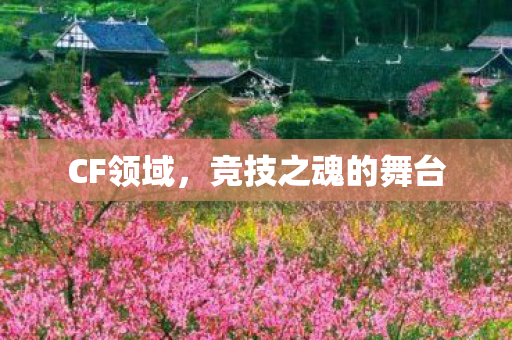 CF领域，竞技之魂的舞台