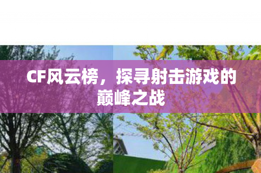 CF风云榜，探寻射击游戏的巅峰之战