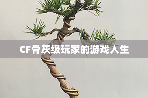 CF骨灰级玩家的游戏人生