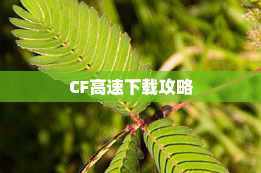 CF高速下载攻略 CF高速下载攻略