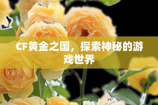 CF黄金之国，探索神秘的游戏世界