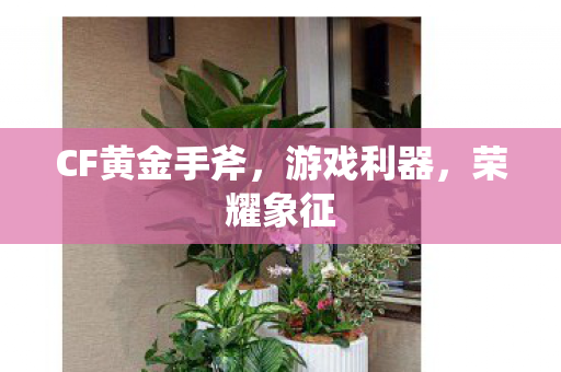 CF黄金手斧,游戏利器,荣耀象征 CF黄金手斧,游戏利器,荣耀象征