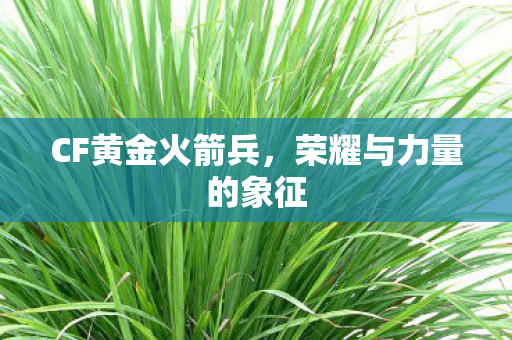 CF黄金火箭兵，荣耀与力量的象征