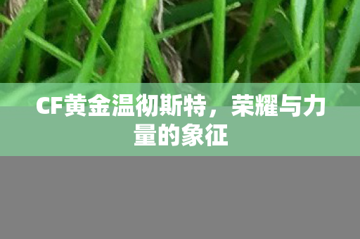 CF黄金温彻斯特,荣耀与力量的象征 CF黄金温彻斯特,荣耀与力量的象征