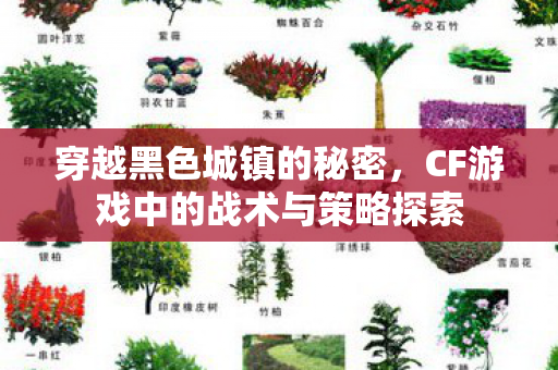 穿越黑色城镇的秘密,CF游戏中的战术与策略探索 穿越黑色城镇的秘密,CF游戏中的战术与策略探索