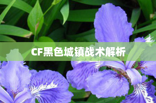 CF黑色城镇战术解析