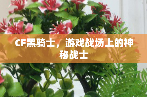CF黑骑士,游戏战场上的神秘战士 CF黑骑士,游戏战场上的神秘战士