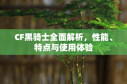 CF黑骑士全面解析,性能、特点与使用体验 CF黑骑士全面解析,性能、特点与使用体验