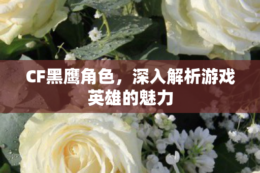 CF黑鹰角色,深入解析游戏英雄的魅力 CF黑鹰角色,深入解析游戏英雄的魅力