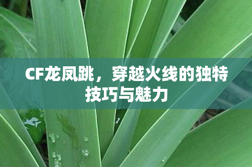 CF龙凤跳,穿越火线的独特技巧与魅力 CF龙凤跳,穿越火线的独特技巧与魅力