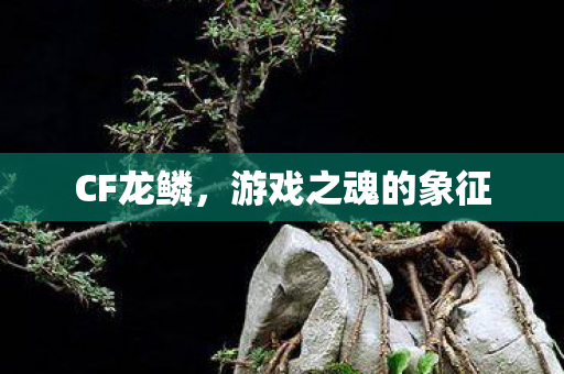CF龙鳞,游戏之魂的象征 CF龙鳞,游戏之魂的象征