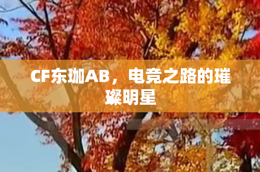 CF东珈AB,电竞之路的璀璨明星 CF东珈AB,电竞之路的璀璨明星