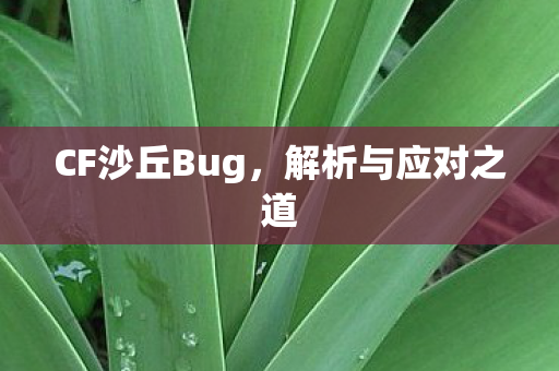 CF沙丘Bug,解析与应对之道 CF沙丘Bug,解析与应对之道