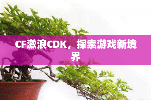 CF激浪CDK,探索游戏新境界 CF激浪CDK,探索游戏新境界