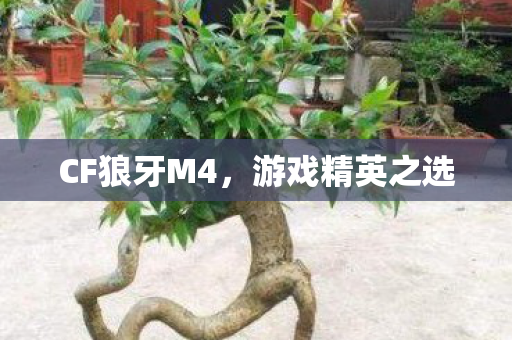 CF狼牙M4，游戏精英之选