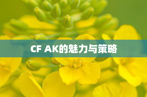 CF AK的魅力与策略 CF AK的魅力与策略