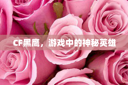 CF黑鹰,游戏中的神秘英雄 CF黑鹰,游戏中的神秘英雄