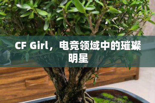 CF Girl,电竞领域中的璀璨明星 CF Girl,电竞领域中的璀璨明星