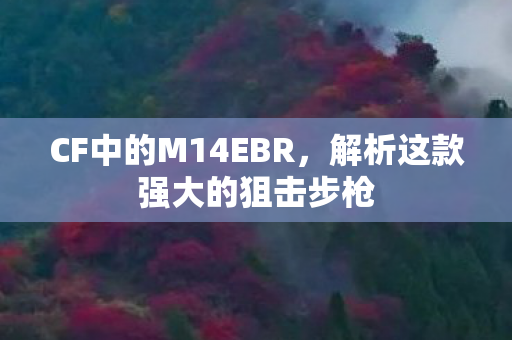 CF中的M14EBR,解析这款强大的狙击步枪 CF中的M14EBR,解析这款强大的狙击步枪