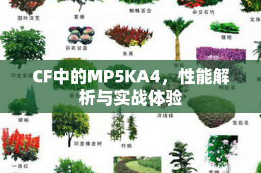 CF中的MP5KA4，性能解析与实战体验